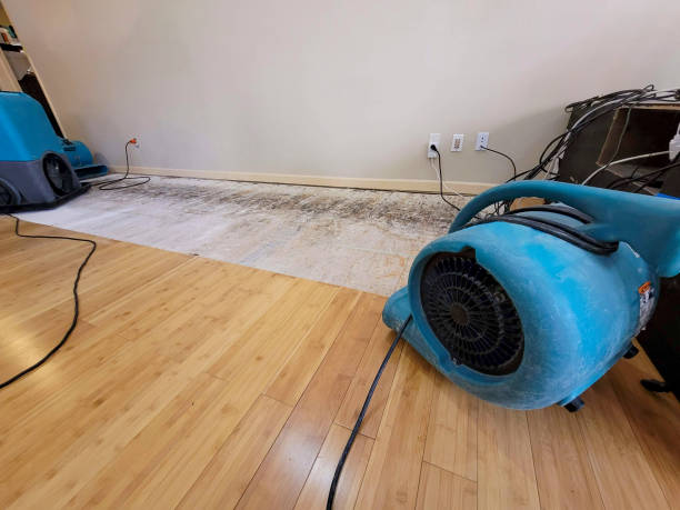 Professional Structural Drying technician working in Kingston Springs, TN